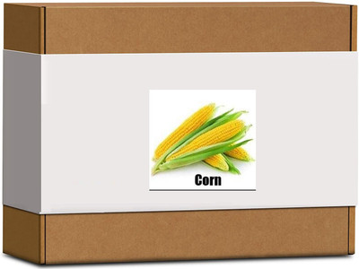 CYBEXIS High Germination Yellow Corn Seeds500 Seeds Seed(500 per packet)