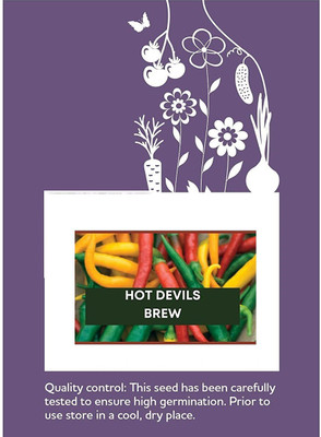 CYBEXIS F1 Hybrid Hot Devils Brew Chilli Seeds2400 Seeds Seed(2400 per packet)