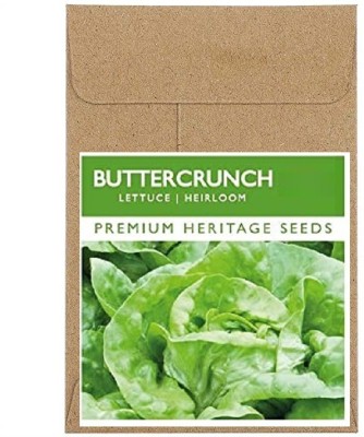 Qualtivate ® Fast Germination Buttercrunch Lettuce Seeds(125 Seeds) Seed(125 per packet)