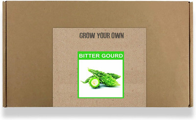 CYBEXIS Fast Germination Bitter Gourd Seeds400 Seeds Seed(400 per packet)
