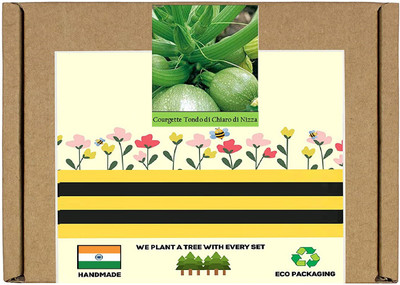 CYBEXIS F1 Hybrid Round Zucchini Seeds400 Seeds Seed(400 per packet)