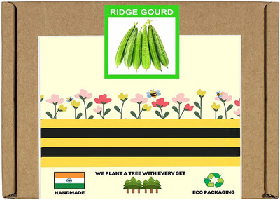 CYBEXIS F1 Hybrid Ridge Gourd Seeds200 Seeds Seed(200 per packet)