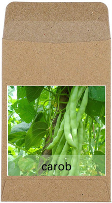 CYBEXIS French Beans Seed(400 per packet)