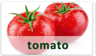 CYBEXIS Fast Germination Tomato Seeds500 Seeds Seed(500 per packet)