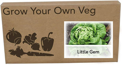 CYBEXIS Heirloom Lettuce Little Gem Seeds2000 Seeds Seed(2000 per packet)