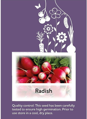 CYBEXIS F1 Hybrid Radish French Breakfast Seeds600 Seeds Seed(600 per packet)