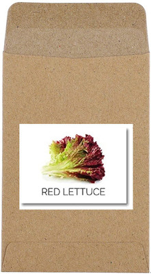 CYBEXIS Guarenteed Germination Red Lettuce Seeds2000 Seeds Seed(2000 per packet)