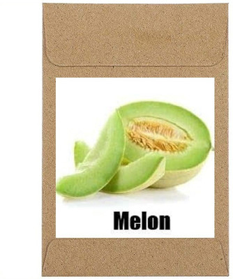 CYBEXIS Guarenteed Germination Melon Seeds400 Seeds Seed(400 per packet)