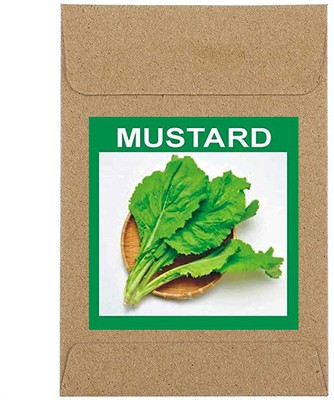 CYBEXIS Guarenteed Germination Japanese Mizuna Mustard Seeds2000 Seeds Seed(2000 per packet)