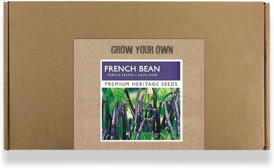 CYBEXIS Fast Germination Purple French Beans Seeds800 Seeds Seed(800 per packet)