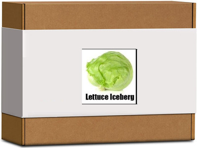 CYBEXIS High Germination Lettuce Iceberg Seeds1000 Seeds Seed(1000 per packet)