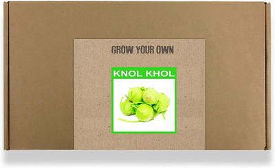 CYBEXIS Fast Germination Knol Khol Seeds2000 Seeds Seed(2000 per packet)