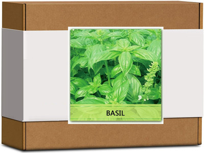 CYBEXIS High Germination Basil Seeds1000 Seeds Seed(1000 per packet)