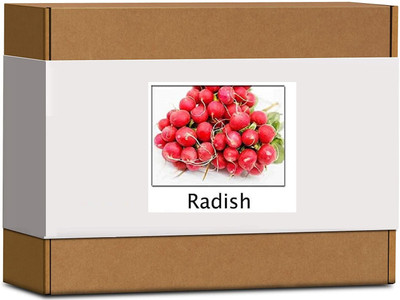 CYBEXIS High Germination Round Radish Seeds1200 Seeds Seed(1200 per packet)