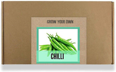 CYBEXIS Fast Germination Green Chilli Seeds-300 Seeds Seed(300 per packet)