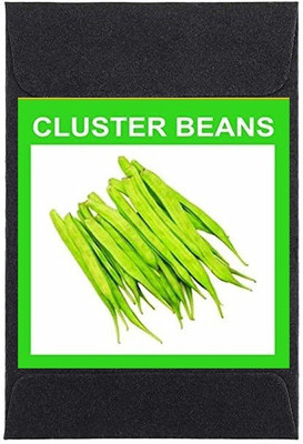CYBEXIS Heirloom Cluster Beans Seeds800 Seeds Seed(800 per packet)