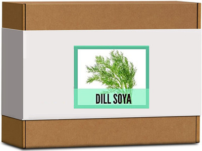 CYBEXIS High Germination Dill Soya Seeds2800 Seeds Seed(2800 per packet)