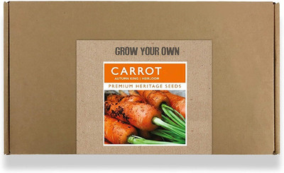 CYBEXIS Fast Germination Carrot Autumn King Seeds4000 Seeds Seed(4000 per packet)
