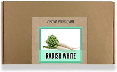 CYBEXIS Fast Germination Radish White Seeds2400 Seeds Seed(2400 per packet)