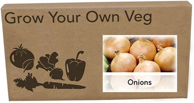 CYBEXIS Heirloom Onion Seeds2000 Seeds Seed(2000 per packet)