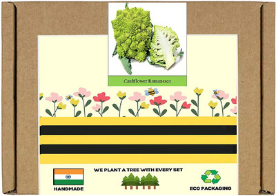 CYBEXIS F1 Hybrid Broccoli/Cauliflower Romanesco Seeds2000 Seeds Seed(2000 per packet)
