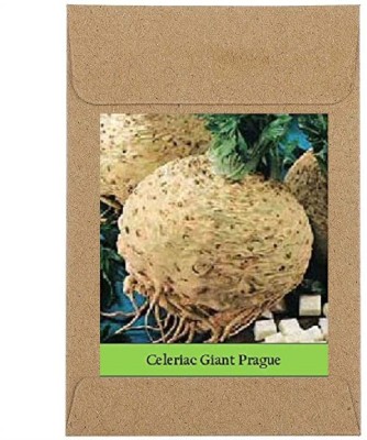 CYBEXIS Guarenteed Germination Celeriac Giant Prague Seeds1000 Seeds Seed(1000 per packet)