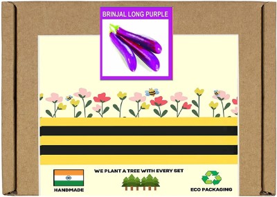 CYBEXIS F1 Hybrid Brinjal Long Purple Seeds2400 Seeds Seed(2400 per packet)