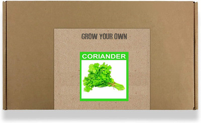 CYBEXIS Fast Germination Coriander Seeds1400 Seeds Seed(1400 per packet)