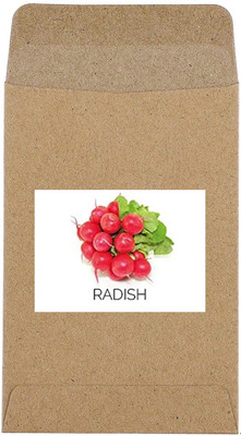 CYBEXIS Guarenteed Germination Red Cherry Radish Seeds2400 Seeds Seed(2400 per packet)