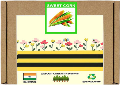 CYBEXIS F1 Hybrid Sweet Corn Seeds2000 Seeds Seed(2000 per packet)