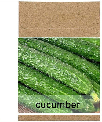 CYBEXIS Guarenteed Germination Cucumber Seeds-250 Seeds Seed(250 per packet)