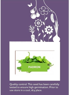 CYBEXIS F1 Hybrid Padron Chilli Seeds1200 Seeds Seed(1200 per packet)