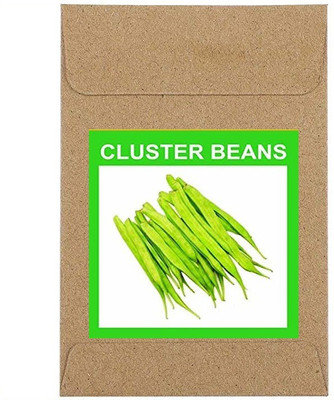 CYBEXIS Guarenteed Germination Cluster Beans Seeds-100 Seeds Seed(100 per packet)