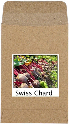 CYBEXIS Hybrid Swiss Chard Seeds2000 Seeds Seed(2000 per packet)