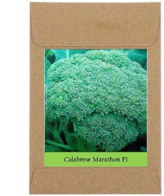 CYBEXIS Guarenteed Germination Broccoli Marathon Seeds1000 Seeds Seed(1000 per packet)