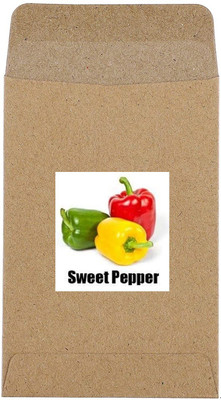 CYBEXIS Hybrid Mixed Capsicum Seeds2400 Seeds Seed(2400 per packet)