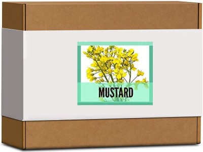 CYBEXIS High Germination Mustard Seeds2000 Seeds Seed(2000 per packet)