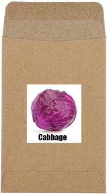 CYBEXIS Hybrid Red Cabbage Seeds-250 Seeds Seed(250 per packet)