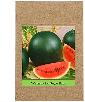 CYBEXIS Guarenteed Germination Water Melon Sugar baby Seeds400 Seeds Seed(400 per packet)