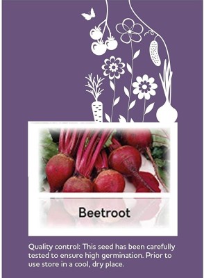 CYBEXIS F1 Hybrid Beetroot Detroit Seeds2000 Seeds Seed(2000 per packet)