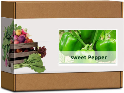 CYBEXIS High Germination Sweet Pepper Capsicum Seeds600 Seeds Seed(600 per packet)