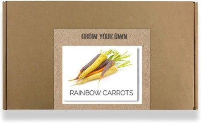 CYBEXIS Fast Germination Carrot Rainbow Seeds2000 Seeds Seed(2000 per packet)