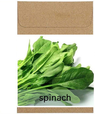 CYBEXIS Guarenteed Germination Green Spinach Seeds1000 Seeds Seed(1000 per packet)