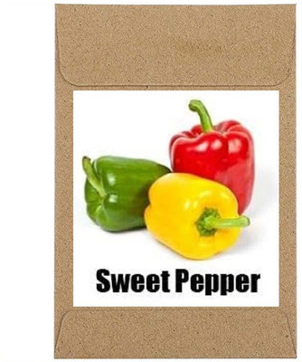 CYBEXIS Guarenteed Germination Mixed Capsicum Seeds600 Seeds Seed(600 per packet)