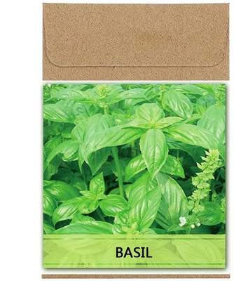 CYBEXIS Guarenteed Germination Basil Seeds2000 Seeds Seed(2000 per packet)
