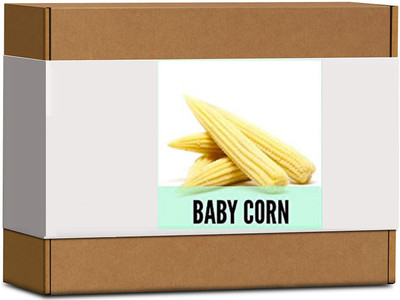 CYBEXIS High Germination Baby Corn Seeds-250 Seeds Seed(250 per packet)