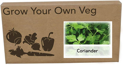 CYBEXIS Heirloom Coriander Seeds1400 Seeds Seed(1400 per packet)