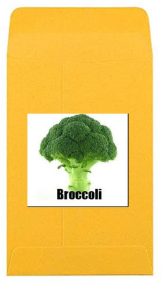 CYBEXIS Heirloom Broccoli Seeds500 Seeds Seed(500 per packet)