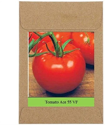 CYBEXIS Guarenteed Germination Tomato Ace Seeds2000 Seeds Seed(2000 per packet)