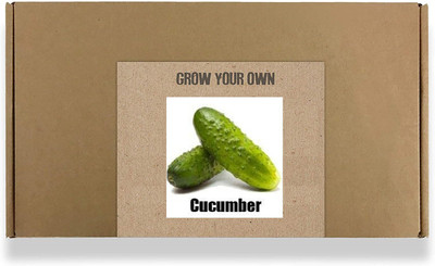 CYBEXIS Fast Germination Cucumber Seeds500 Seeds Seed(500 per packet)